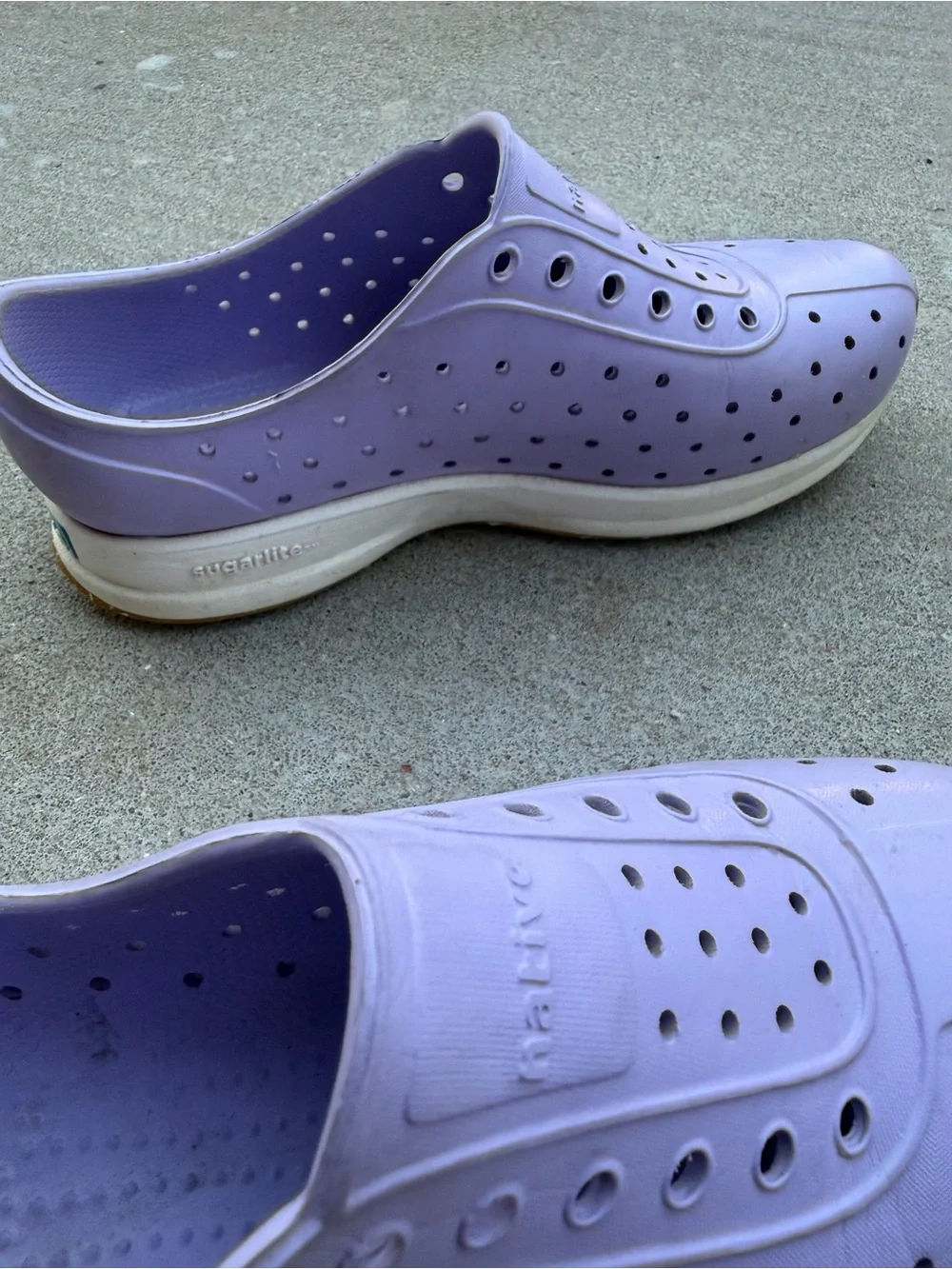 Native Shoes Kids' Robbie Sugarlite slip-on sneakers in a purple lavender J2